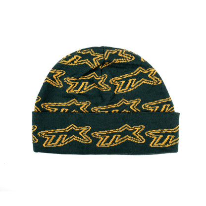 TVSTAR 24 BEANIE - GREEN