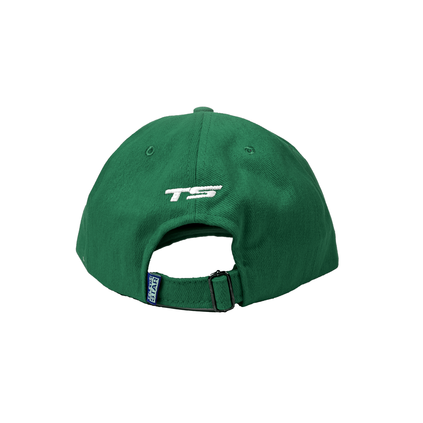 TVSTAR BILLBOARD HAT - GREEN