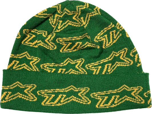 TVSTAR 24 BEANIE - GREEN